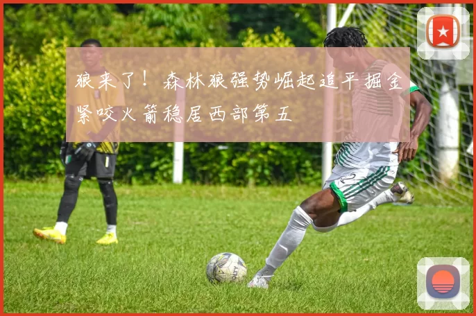 狼来了！森林狼强势崛起追平掘金紧咬火箭稳居西部第五