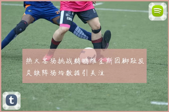 热火客场挑战鹈鹕维金斯因脚趾发炎缺阵场均数据引关注