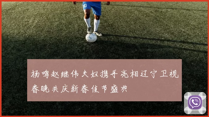 杨鸣赵继伟夫妇携手亮相辽宁卫视春晚共庆新春佳节盛典