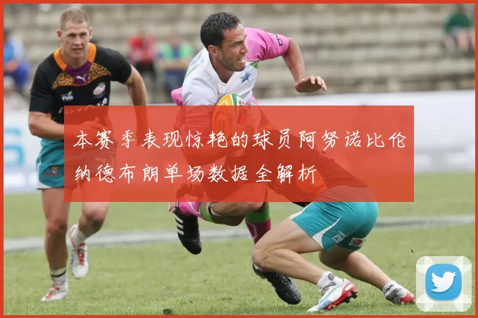 本赛季表现惊艳的球员阿努诺比伦纳德布朗单场数据全解析